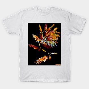 Autumn Wind T-Shirt